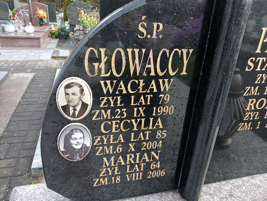 Wacław Głowacki Cerekiew - Grobonet - Wyszukiwarka osób pochowanych
